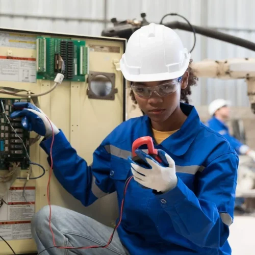 raiven electrification opportunities